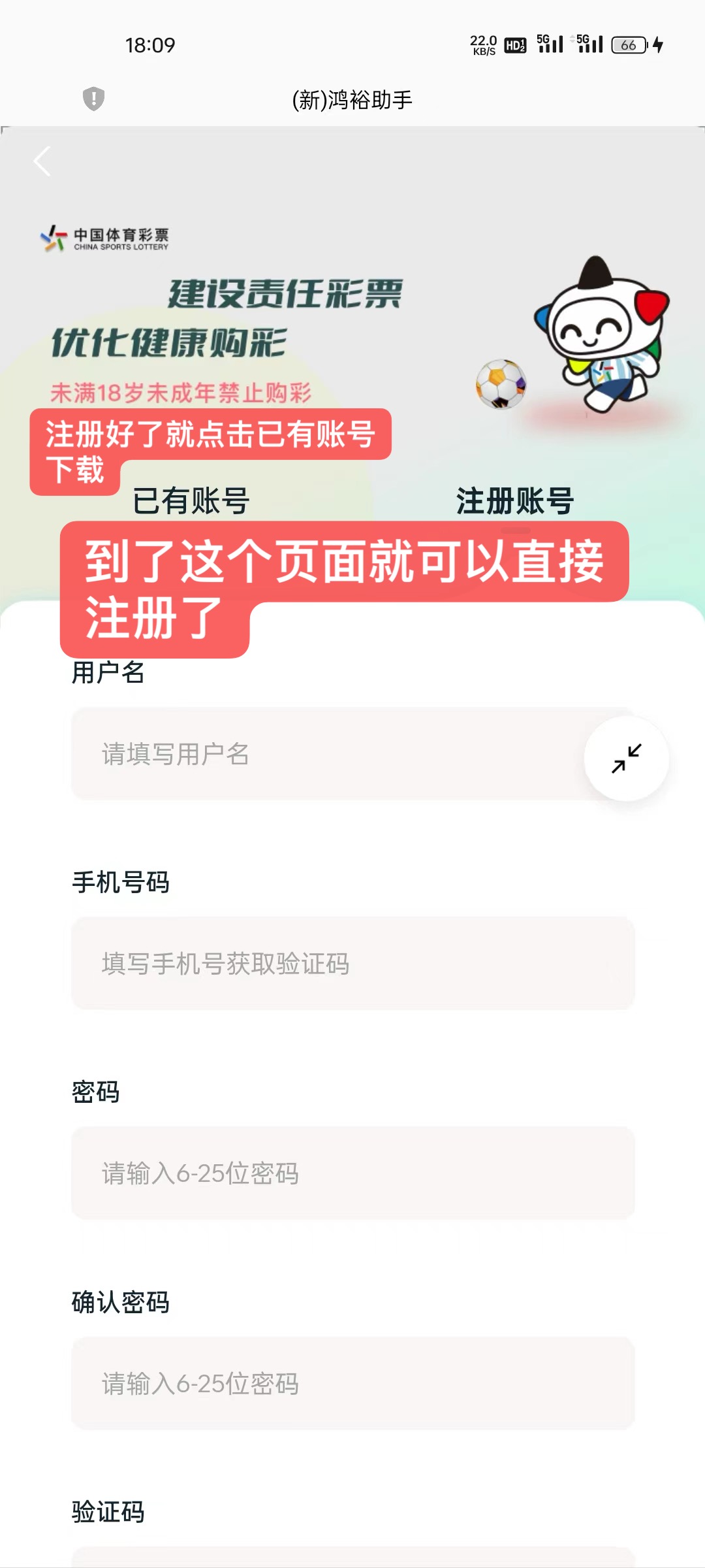 图片12